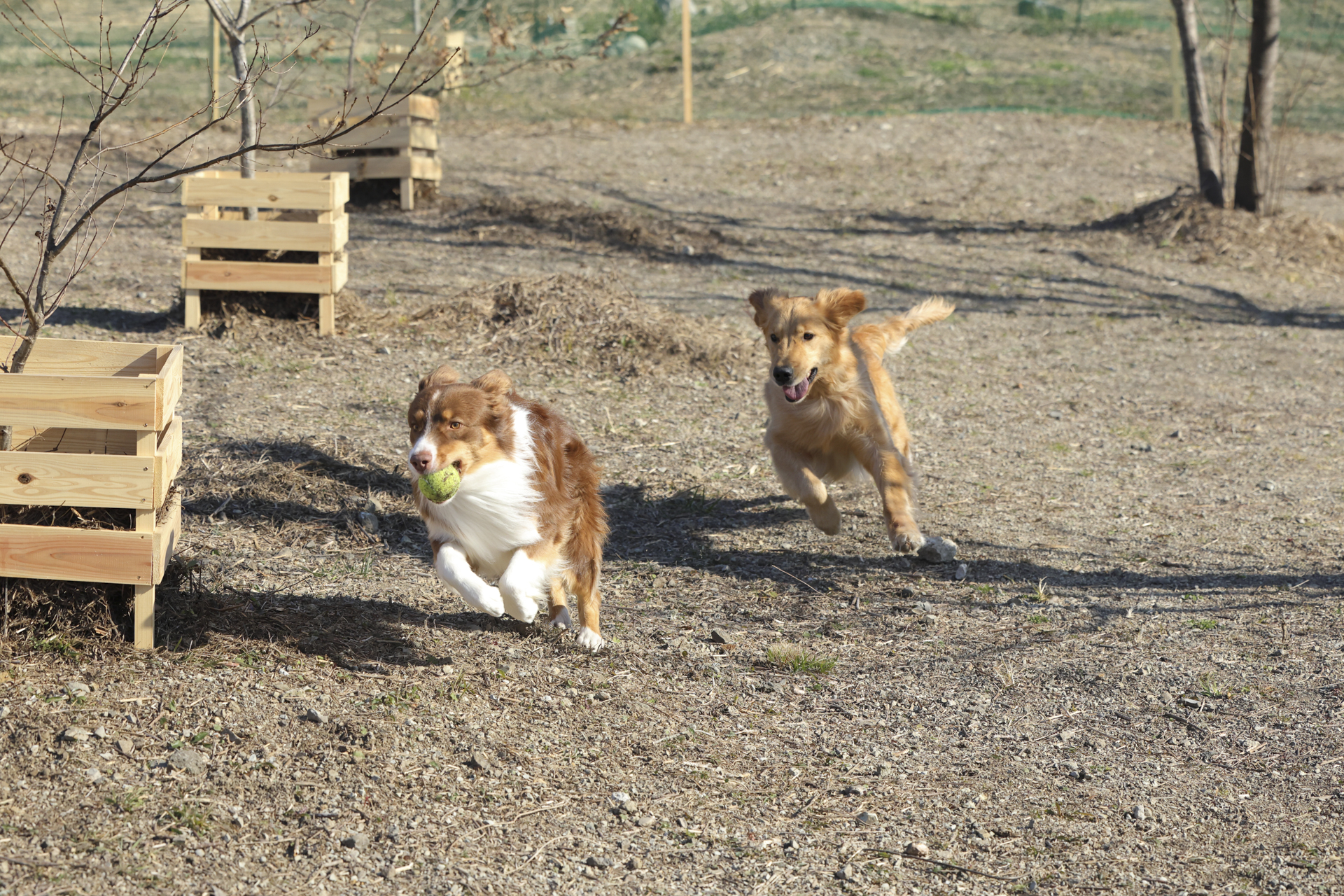 EOS R6 Mark II／RF70-200mm F2.8 L IS USM／86mm／マニュアル露出（1/8,000秒・F5.6）／ISO 1250