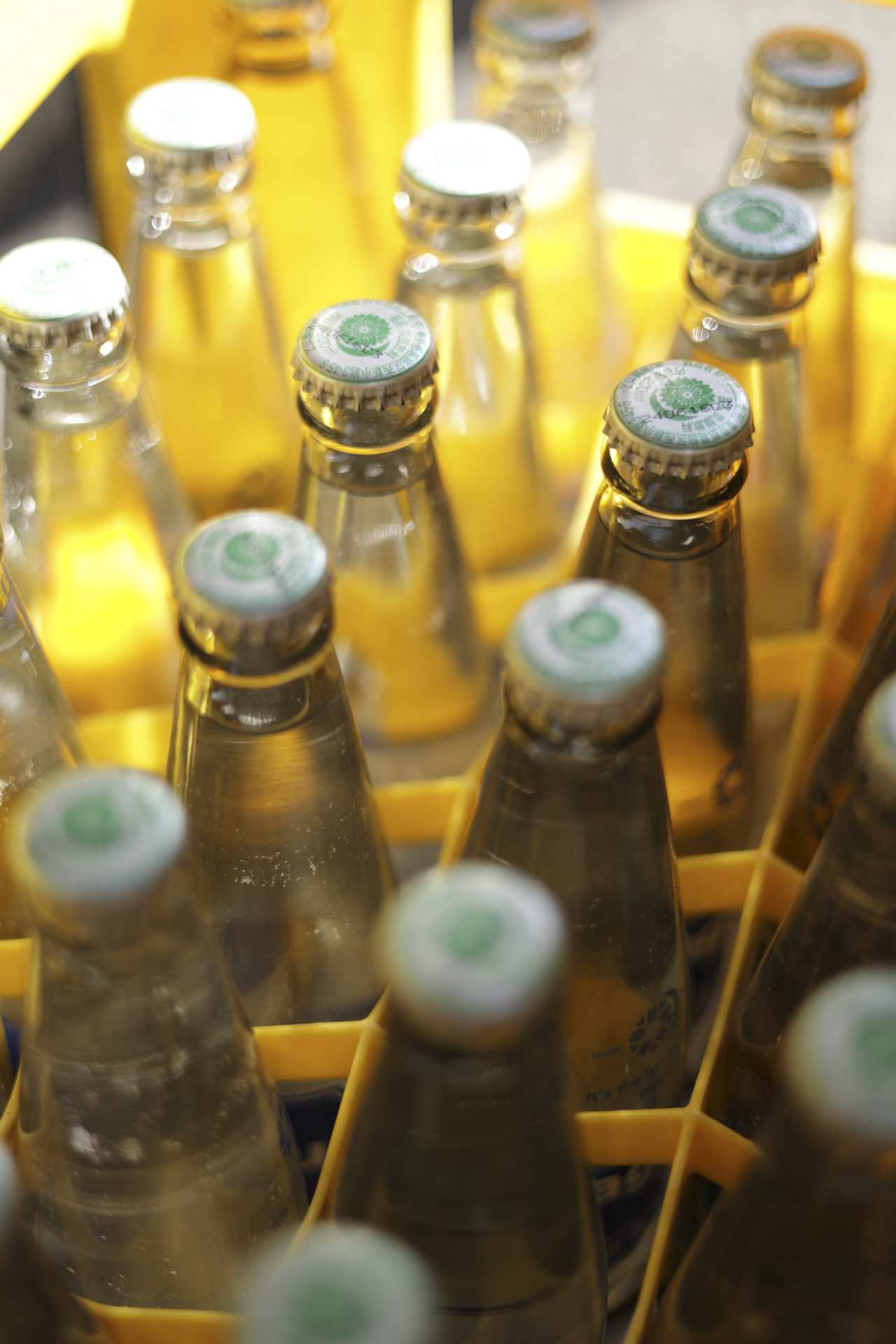 EOS R6 Mark II／RF50mm F1.8 STM／50mm／マニュアル露出（1/500秒・F1.8）／ISO 100