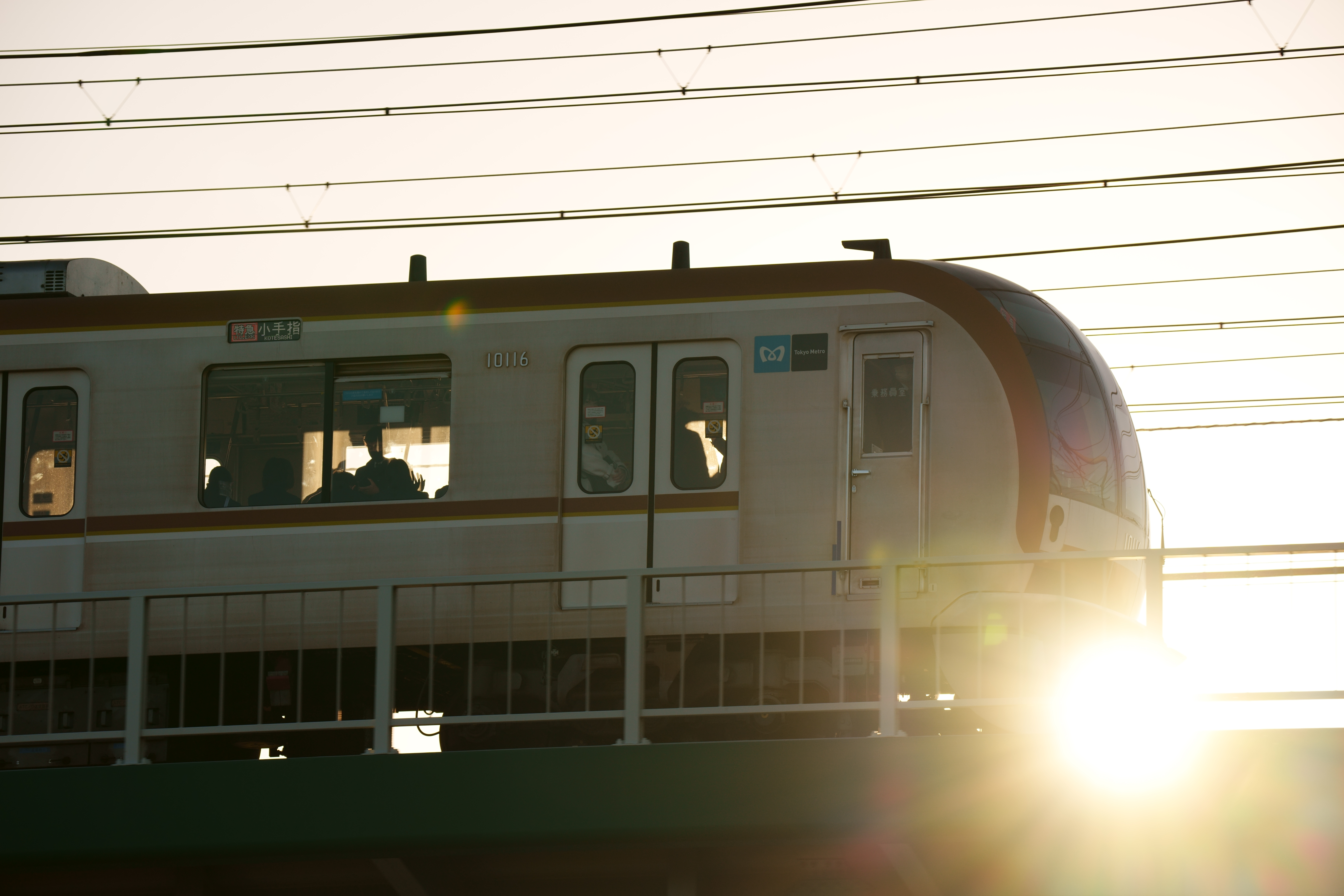 ソニー α1　SIGMA 60-600mm F4.5-6.3 DG DN OS | Sports（F8・1/500秒・197mm）ISO 160　WB：日陰（東急東横線・多摩川〜新丸子　17:43）