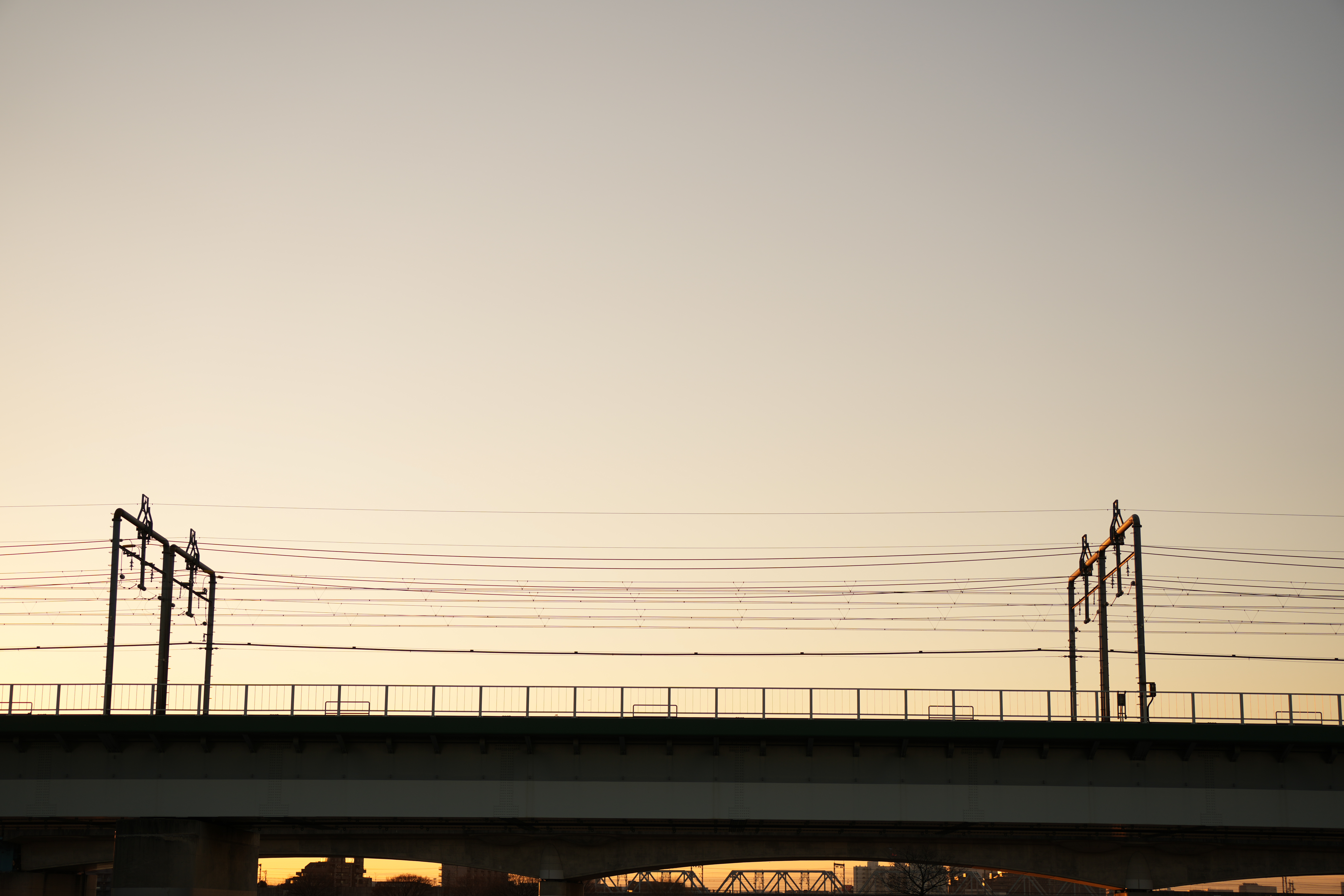 ソニー α1　SIGMA 60-600mm F4.5-6.3 DG DN OS | Sports（F4.5・1/320秒・60mm）ISO 100　WB：日陰