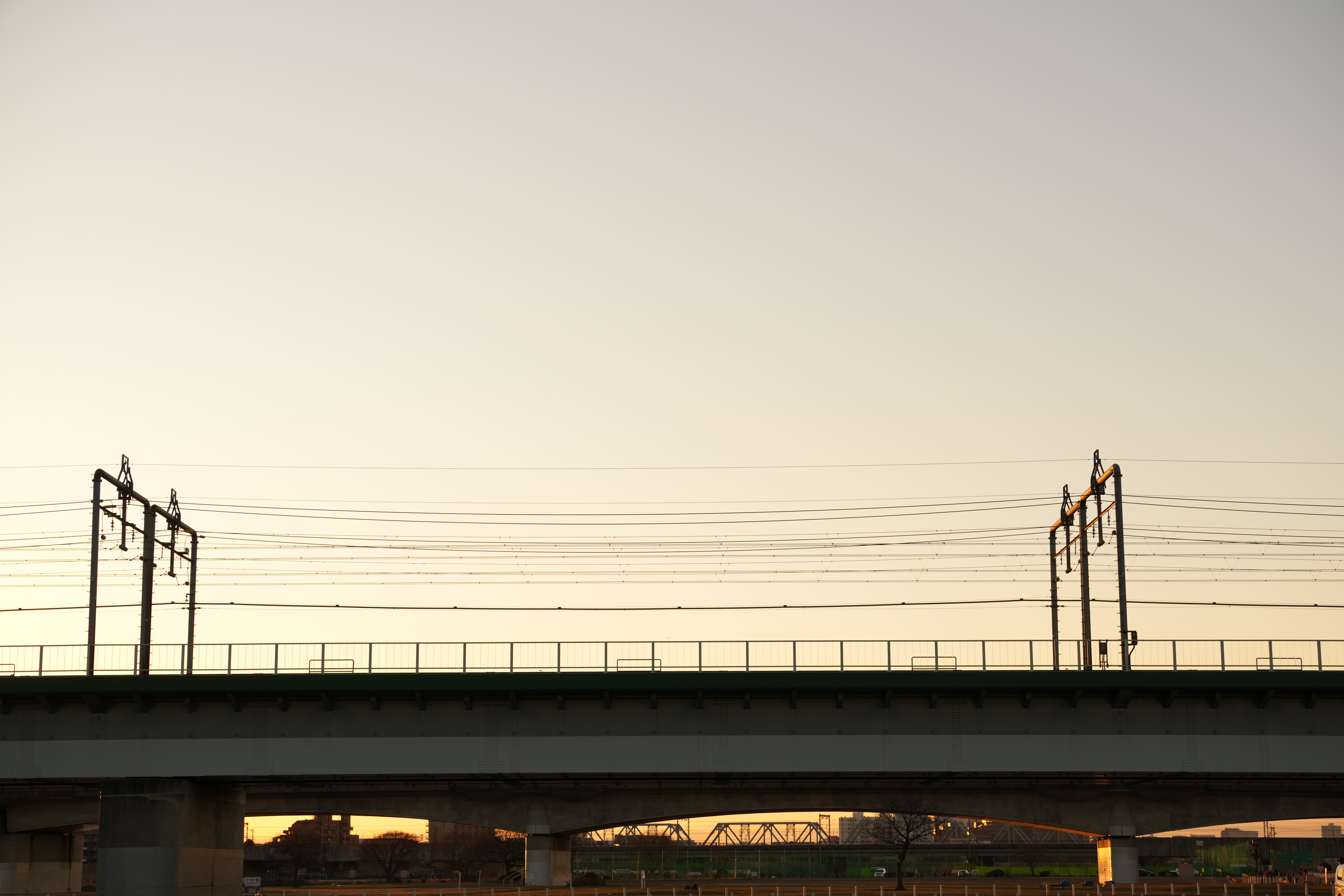 ソニー α1　SIGMA 60-600mm F4.5-6.3 DG DN OS | Sports（F8・1/100秒・60mm）ISO 100　WB：日陰