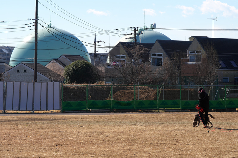 無限遠の描写もなんのその。その昔、ツァイスのマクロプラナー120mm F5.6は風景は撮れなくはないけど、無限遠の設定の時は必ず絞り込めと言われていたことを思い出しました。本レンズは撮影距離とか絞りとか性能に関係ない印象です。<br>ニコンDf　AI AF Zoom Micro Nikkor ED 70-180mm F4.5-F5.6D（F10・1/1,250秒）ISO 400　180mm