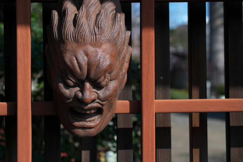 ディテール描写も素敵です。緻密な再現性が欲しい時に安心して使えるレンズで感心します。ボケ味は悪くありませんね。歪曲収差もバッチリです。<br>ニコンDf　AI AF Zoom Micro Nikkor ED 70-180mm F4.5-F5.6D（F6.3・1/1,000秒）ISO 200　85mm