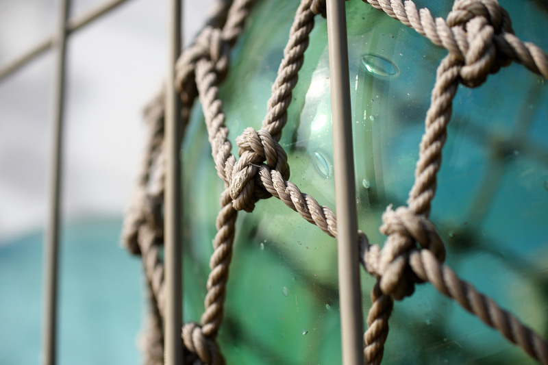 マクロレンズの正統的な使い方で、ググッと寄って撮影。見事なシャープネスです。ワイド端ですが寄っていますからボケは大きくなりますが、これも自然でクセがありません。<br>ニコンDf　AI AF Zoom Micro Nikkor ED 70-180mm F4.5-F5.6D（F5.6・1/3,200秒）ISO 400　70mm