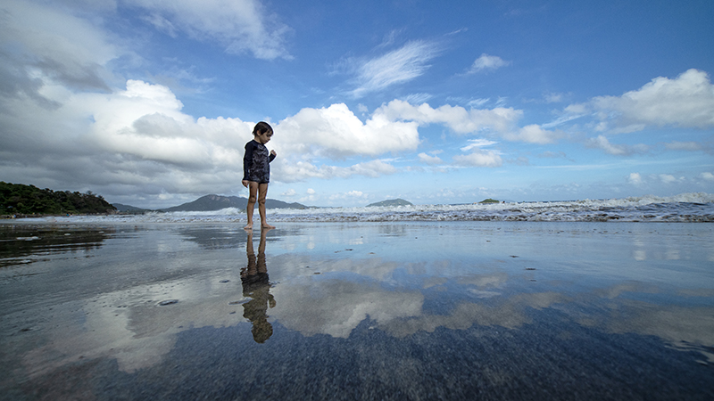 写真提供：株式会社サイトロンジャパン