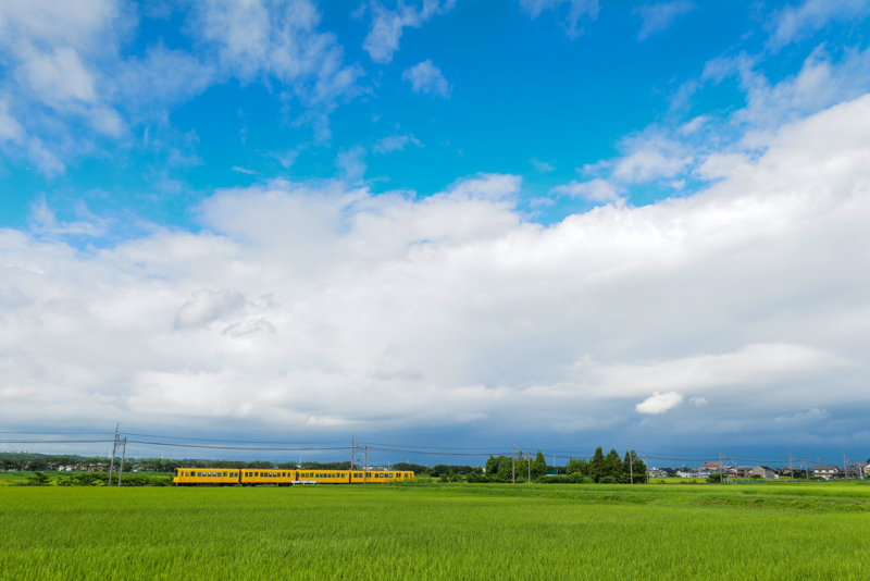 ライカSL2／VARIO-ELMARIT-SL F2.8-4/24-90mm ASPH.／絞り優先オート（29mm・F4.5・1/800秒）／ISO400／WB：太陽光