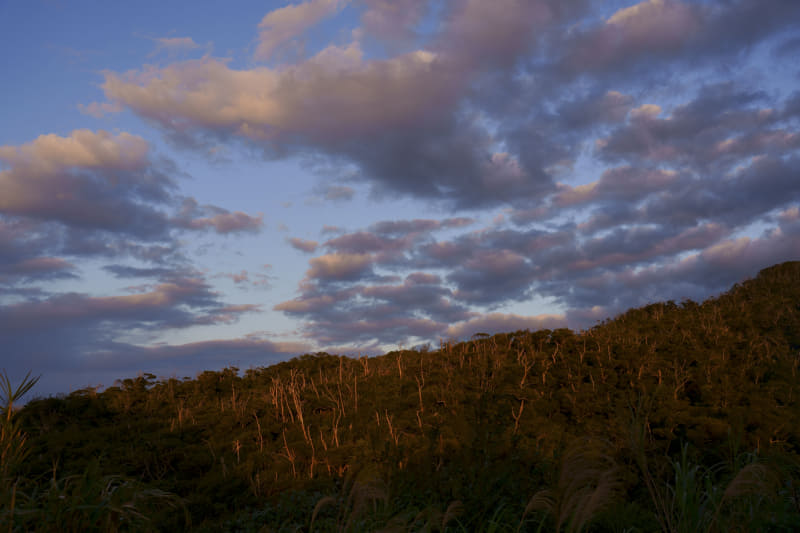 α7 IV／FE 20-70mm F4 G／30mm／マニュアル露出（1/200秒・F6.3）／ISO 100