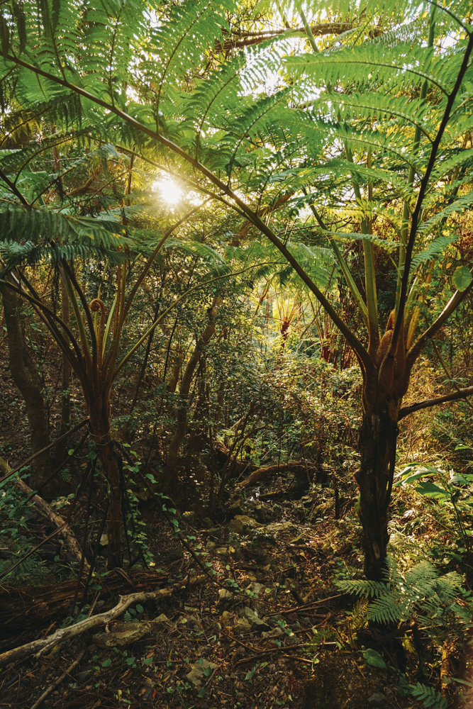 α7 IV／FE 20-70mm F4 G／20mm／絞り優先（1/60秒・F4.0）／ISO 800