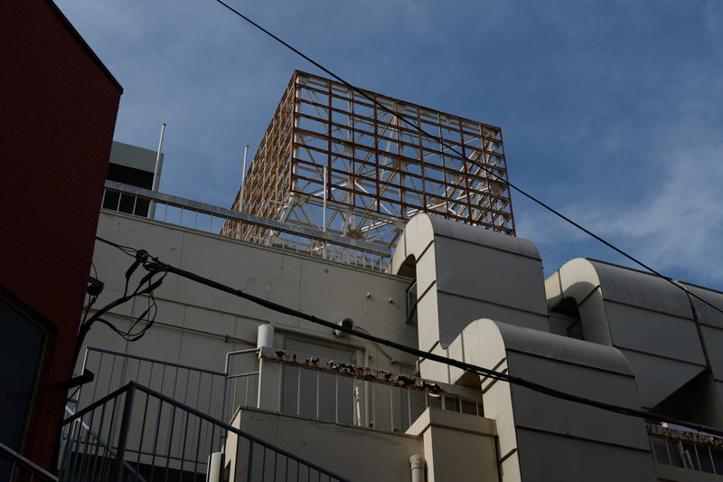 これも晴れの日の西に太陽が傾いてきた頃ですが、明暗差がそれなりにあっても、全体を落ち着かせてしまうところがいいですね。<br>LUMIX S5II／LUMIX S 50mm F1.8／絞り優先AE（F8・1/1,600秒）／ISO400