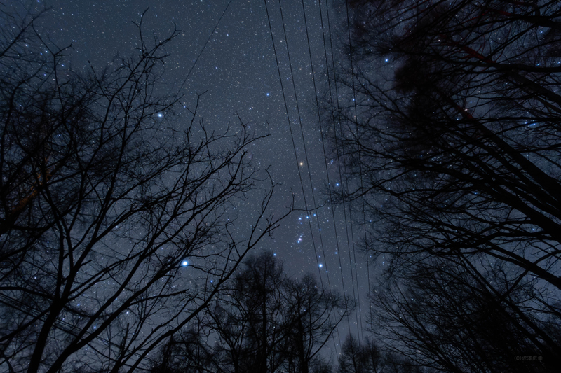 スターエンハンサー使用時