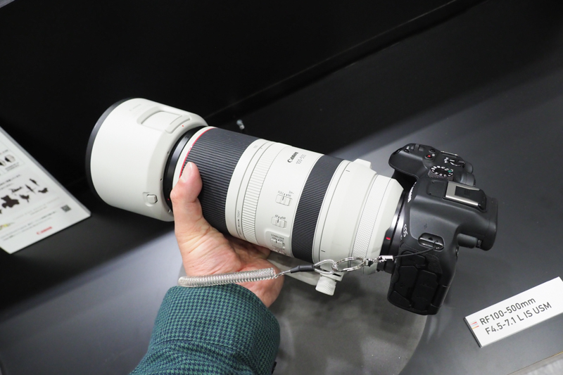 RF100-500mm F4.5-7.1 L IS USM