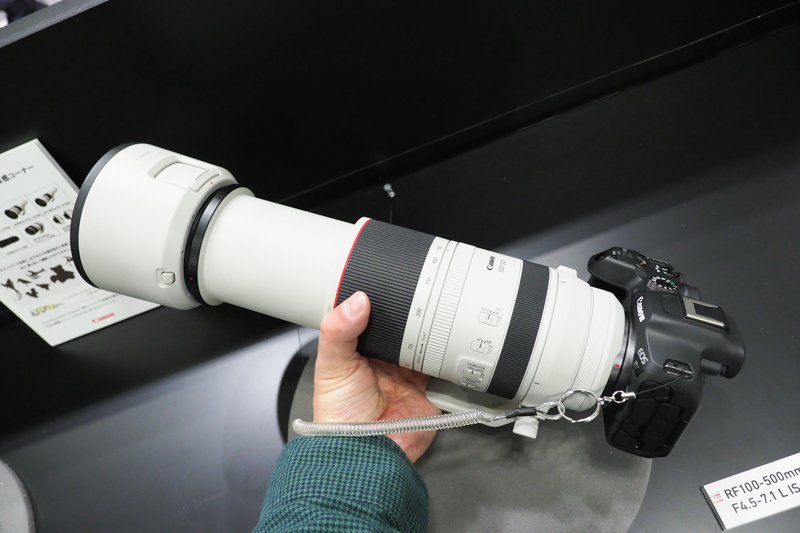 RF100-500mm F4.5-7.1 L IS USM