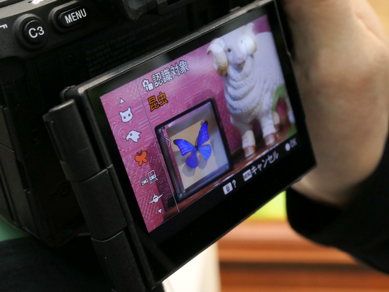 検出被写体の「昆虫」は、蝶、蜂、トンボが対象