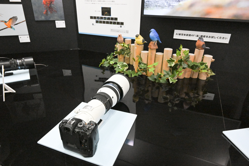 M.ZUIKO DIGITAL ED 150-400mm F4.5 TC1.25x IS PRO