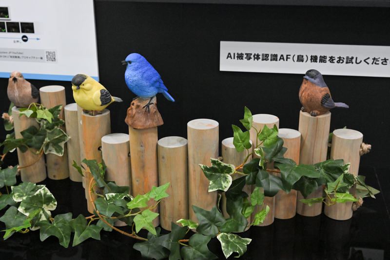 鳥のミニチュアを被写体に、実際のシチュエーションに似た環境で試せる