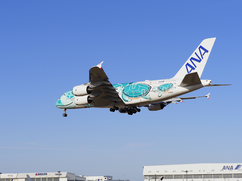 本イベントの集合場所「ひこうきの丘」で撮影成田空港近くには、こうした撮影スポットが多数ある