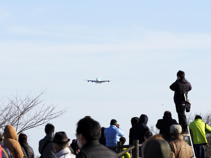 車での移動が便利だが、バスも利用できるので参考にされたい