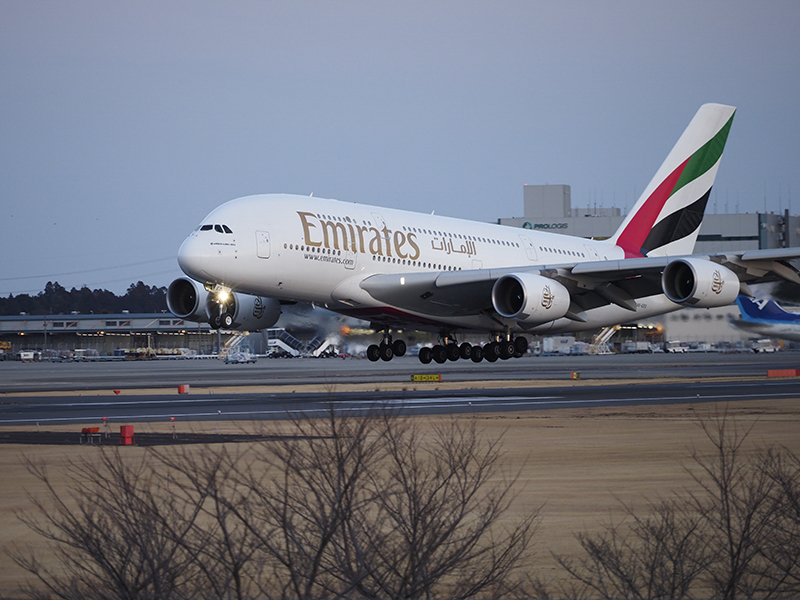 OM-D E-M1X／M.ZUIKO DIGITAL ED 40-150mm F4.0-5.6 R／150mm（300mm）／絞り優先AE（1/320秒・F2.8・±0.0EV）／ISO 500