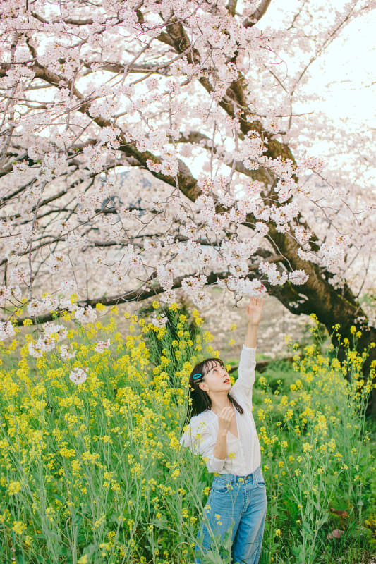 撮影：高木慎平