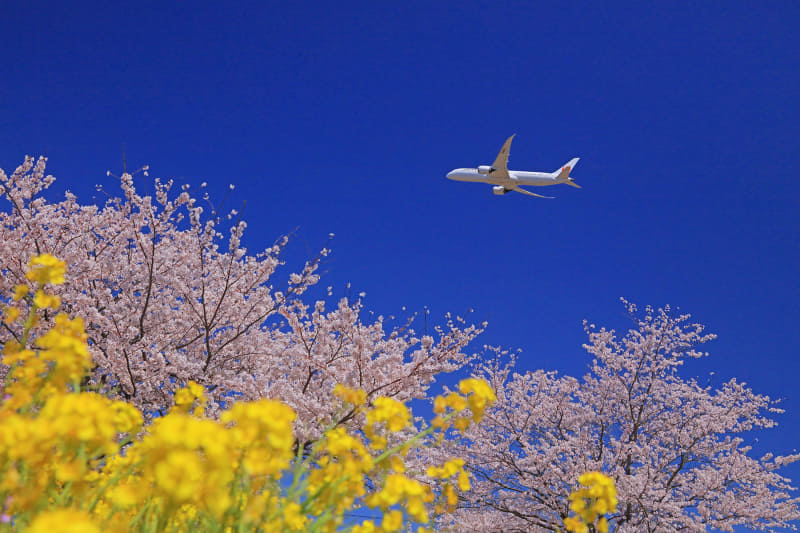 撮影：チャーリィ古庄
