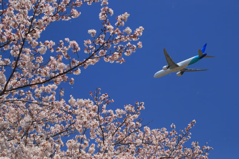 撮影：チャーリィ古庄