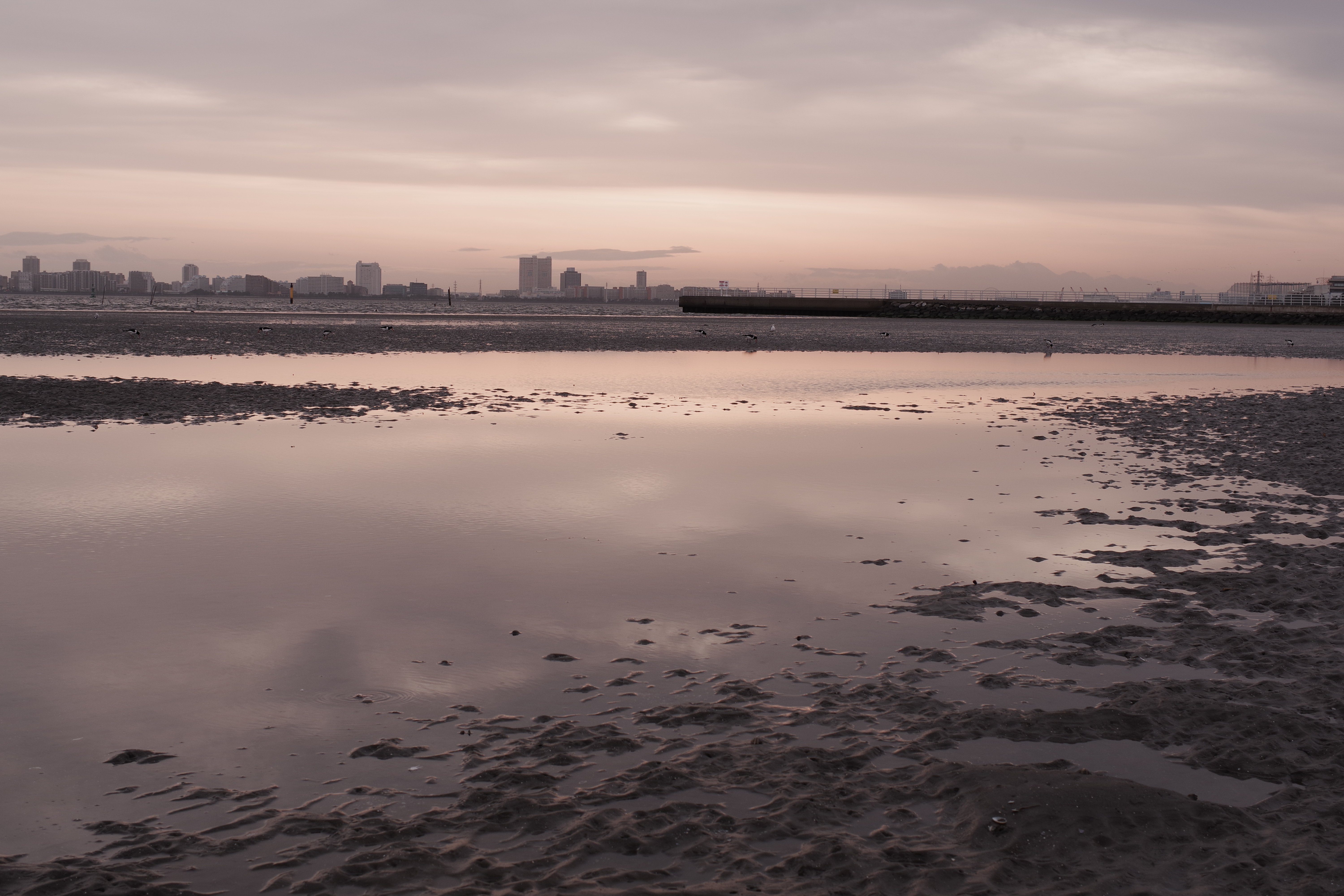 PENTAX KF／HD PENTAX-DA 35mm F2.8 Macro Limited／35mm／（F8、1/125秒）／ISO 100／WB：マニュアル