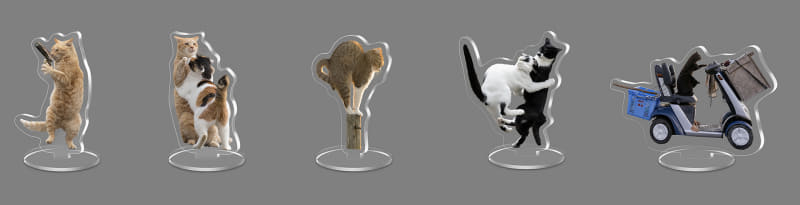 猫のデジタルアクリルスタンド