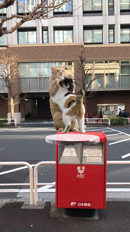 実際に沖昌之さんもARモードで撮影してみた<br>※3DデータやARのデジタルアクリルスタンドを表示するにはFanTopのアプリが必要（Webでは画像のみの表示）