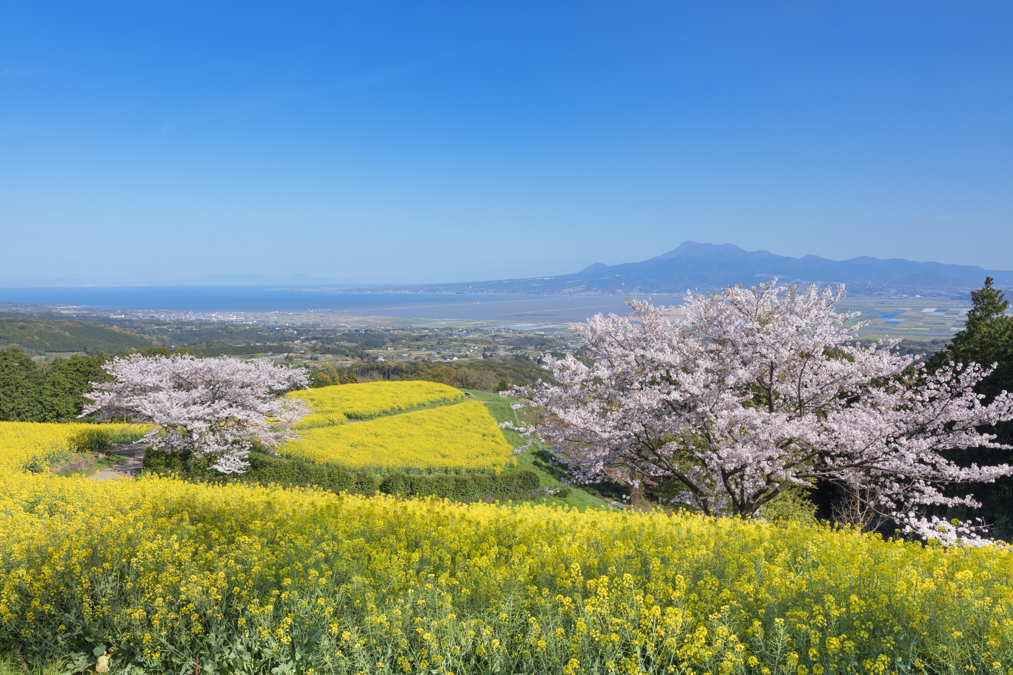 撮影：館野二朗（2020年4月5日撮影）<br><span class="fnt-85">EOS 5D Mark IV／EF24-70mm F2.8L II USM／28mm／マニュアル露出（1/50秒・F11）／ISO 100</span>