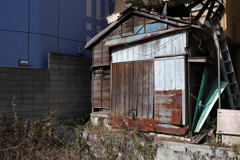 こういう被写体も少しシリアスに写っているんですが、あっけらかんと描写します。レンズを通すことに“何か”を期待するのは、年寄りだからです。<br>EOS R6 Mark II／RF35mm F1.8 MACRO IS STM／絞り優先AE（F8・1/1,000秒）／ISO400