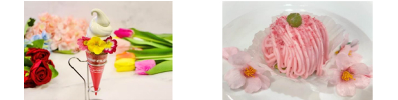 左：フラワーソフトクリーム、右：桜モンブラン
