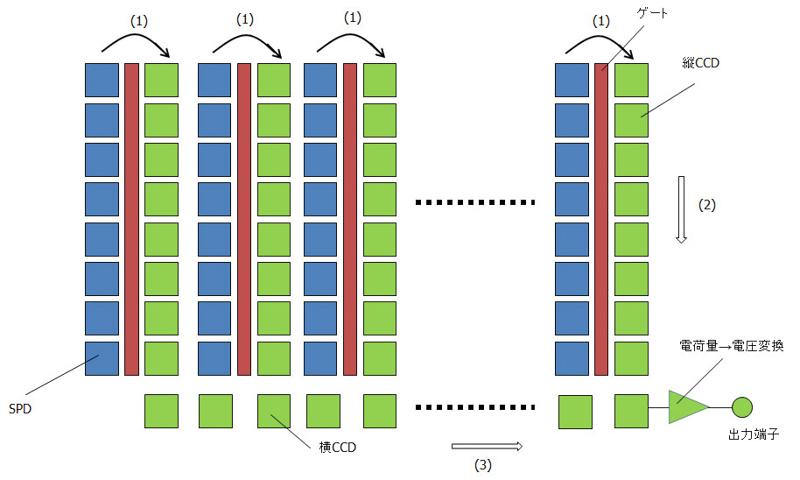 図2b：インターライン型のCCD撮像素子の原理。各画素のSPDの隣にCCDのバケツを並べておき、(1)各画素の電荷を一斉にバケツに移し、(2)図2aに述べた形でバケツリレーにより順に下に運んでいく。(3)そして一番下に出てきた電荷を、今度は横方向に並べたCCDのバケツで出力端子に運んでいく。