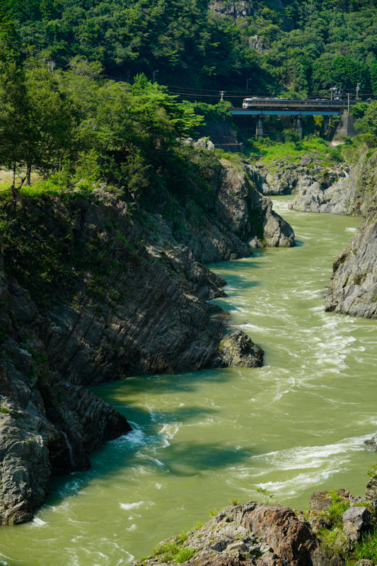 ソニーα7R IV／FE 85mm F1.4 GM／マニュアル露出（F5.6・1/640秒）／ISO400／WB:太陽光（高山本線 上麻生〜白川口）