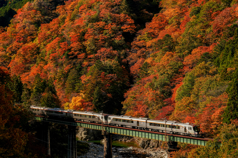 ソニーα7R V／FE 70-200mm F2.8 GM OSS II／シャッター速度優先AE（70mm・F5・1/1,000秒）／ISO400／WB:日陰（高山本線 飛騨小坂〜渚）