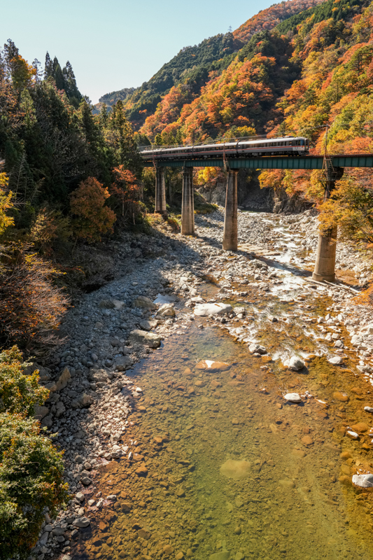 ソニーα7R V／FE 24-70mm F2.8 GM II／絞り優先AE（24mm・F6.3・1/800秒）／ISO800／WB:日陰