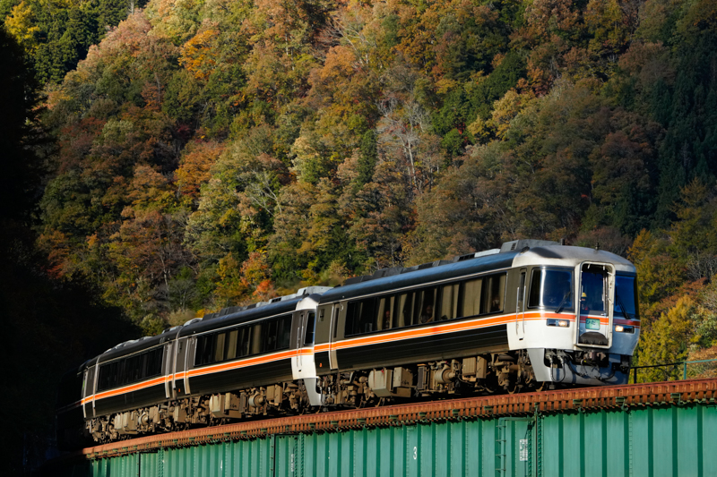 ソニーα1／FE 200-600mm F5.6-6.3 G OSS ／絞り優先AE（200mm・F9・1/800秒）／ISO1600／WB:曇天（高山本線 飛騨細江〜角川）