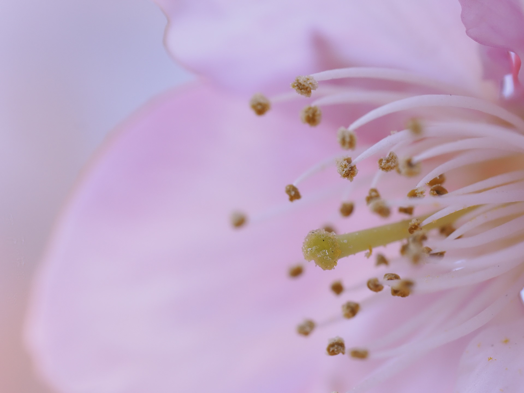 OM SYSTEM OM-1／90mm（180mm相当）／絞り優先AE（F11、1/160秒、+0.3EV）／ISO 800／WB：晴天