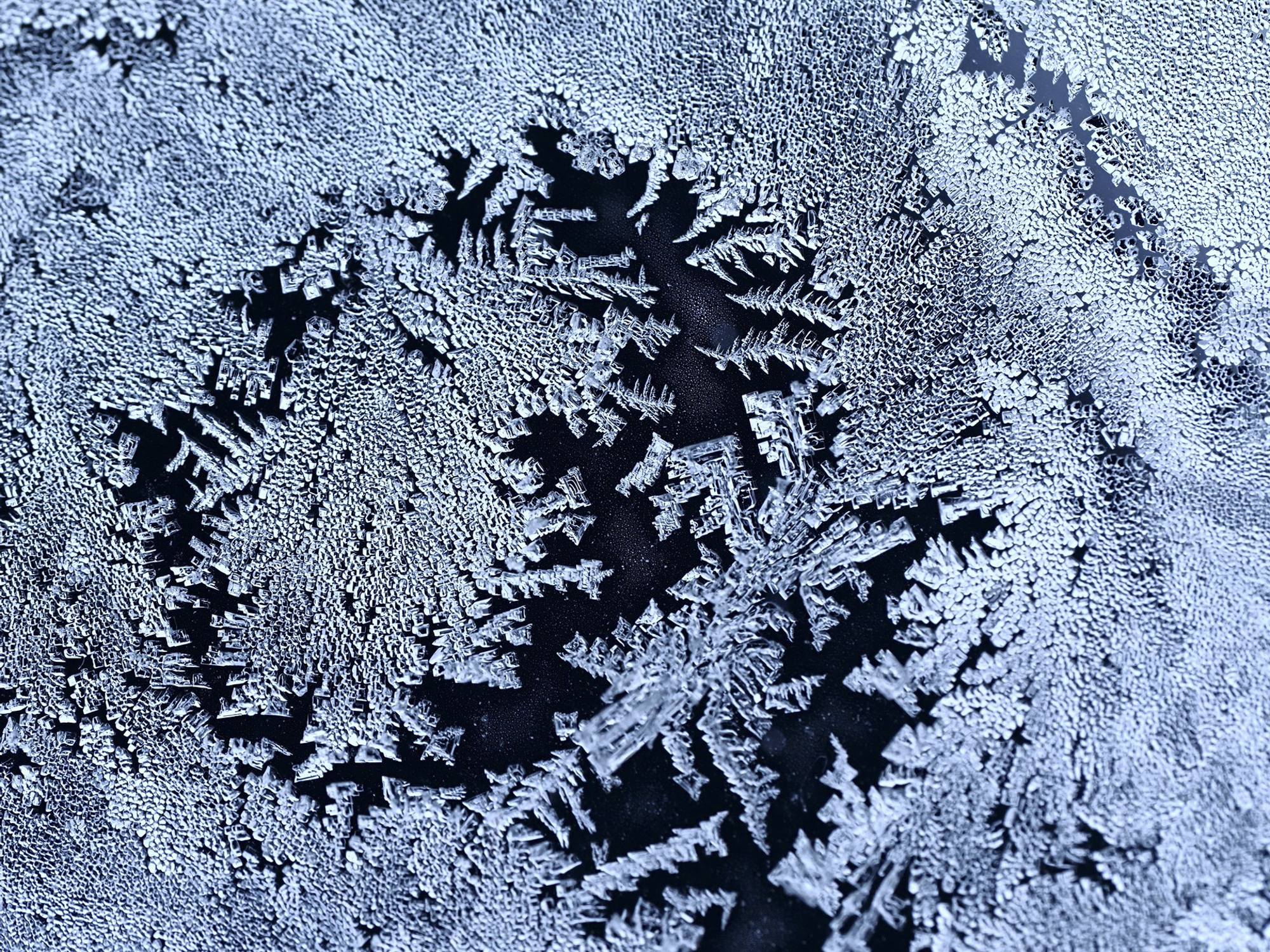 OM SYSTEM OM-1／90mm（180mm相当）／絞り優先AE（F8、1/1,250秒、-0.3EV）／ISO 1600／WB：晴天