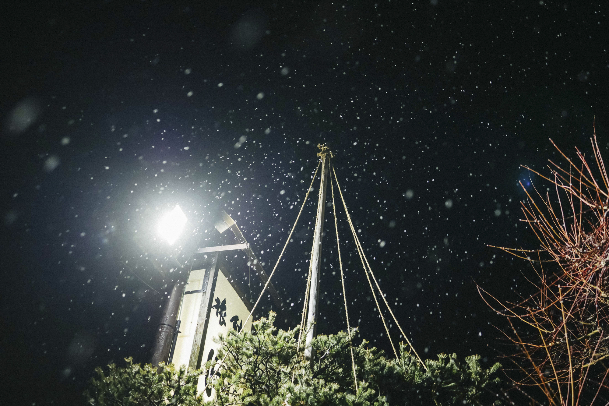 街灯に照らされる雪がキラキラと舞っていた。暗い場所でもノイズが少ないので、夜の雪を、高速シャッターと低速シャッターのどちらでも撮れると思った<br><span class="fnt-85">EOS R8／RF35mm F1.8 MACRO IS STM／35mm／マニュアル露出（F2.8、1/125秒）／ISO 640／WB: 4300K</span>