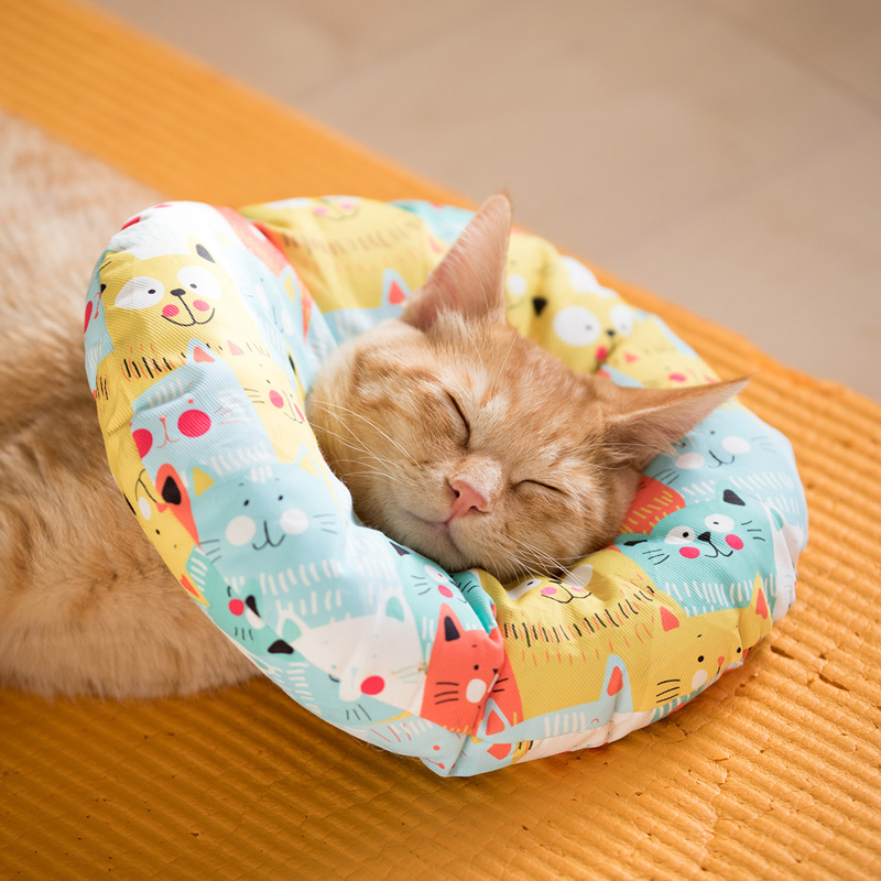 2023年カレンダーの採用作品（一部。以下同）