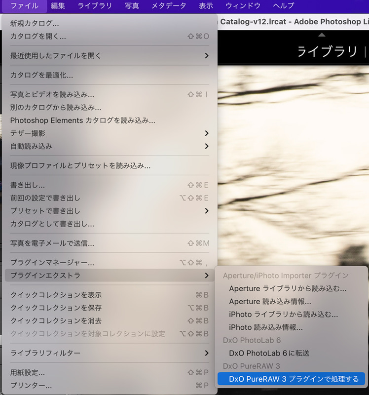 Lightroom Classicでの表示