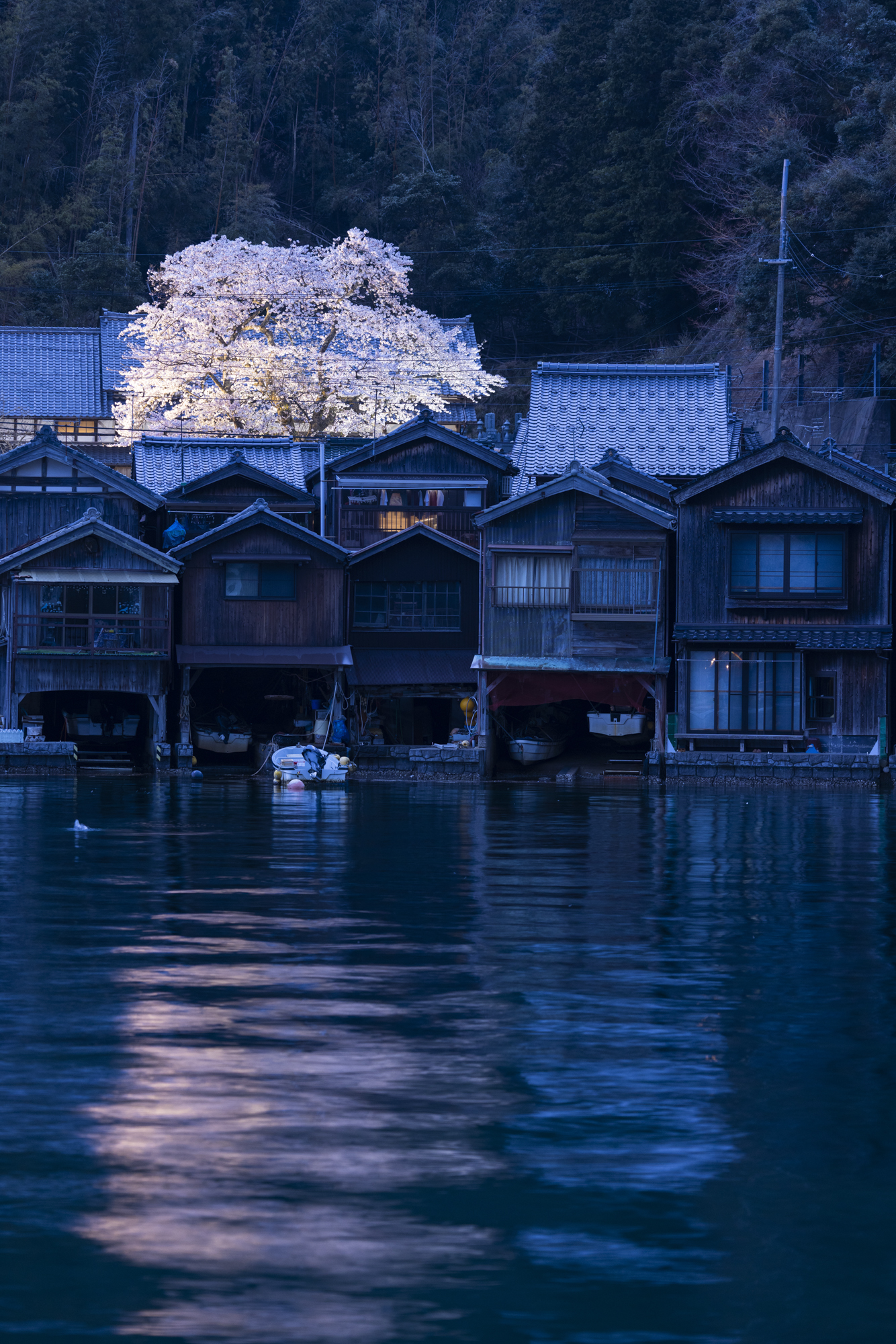 撮影：館野二朗（2022年4月7日撮影）<br><span class="fnt-85">EOS R5／RF70-200mm F4 L IS USM／110mm／マニュアル露出（0.5秒・F4.5）／ISO  100</span>