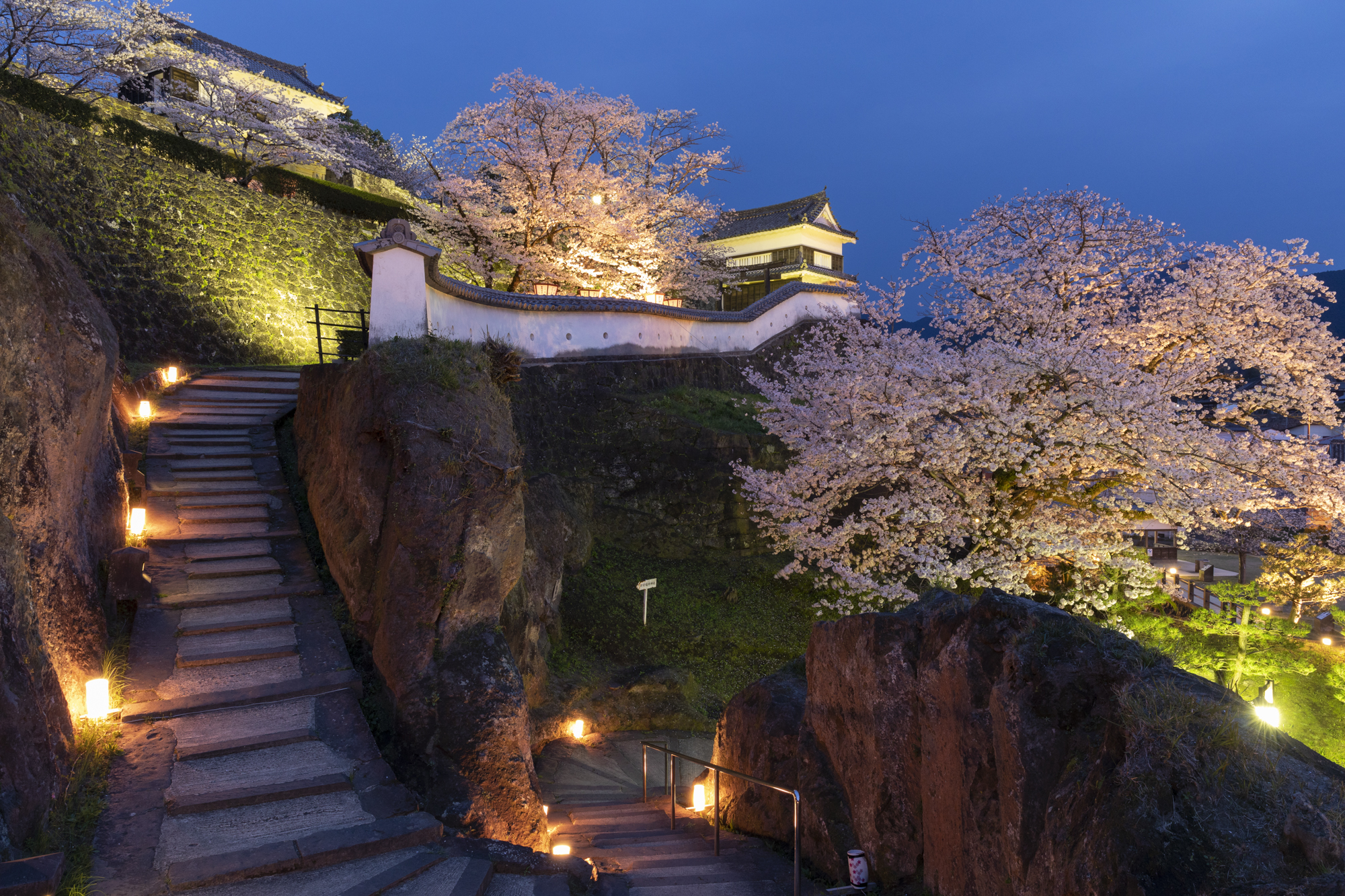 ライトアップされた桜のピンクと、空の深い藍色が城壁にマッチして、ファンタジーな仕上がりになった<br>撮影：館野二朗（2020年4月3日撮影）<br><span class="fnt-85">EOS 5D Mark IV／EF24-70mm F2.8L II USM／24mm／マニュアル露出（3.2秒・F11）／ISO 100／WB: 4800K</span>