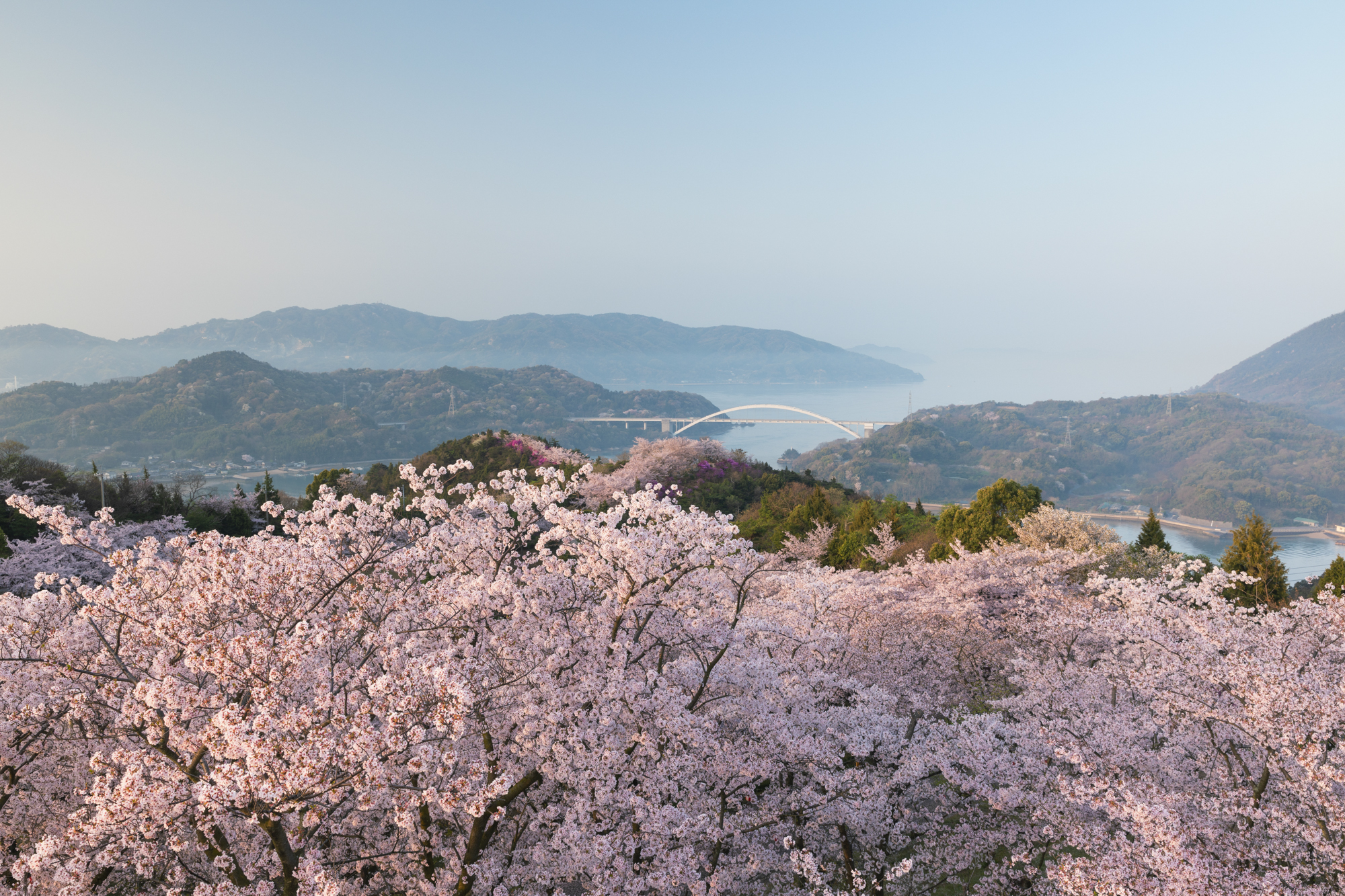 この写真は朝日とは逆の方向を撮影したもの。展望台から撮影すると360度見渡せる。島々を結ぶしまなみ海道に架かる橋を入れてみた<br>撮影：館野二朗（2020年4月3日撮影）<br><span class="fnt-85">EOS 5D Mark IV／EF24-70mm F2.8L II USM／24mm／マニュアル露出（1/8秒・F11）／ISO 100／WB: 4800K</span>