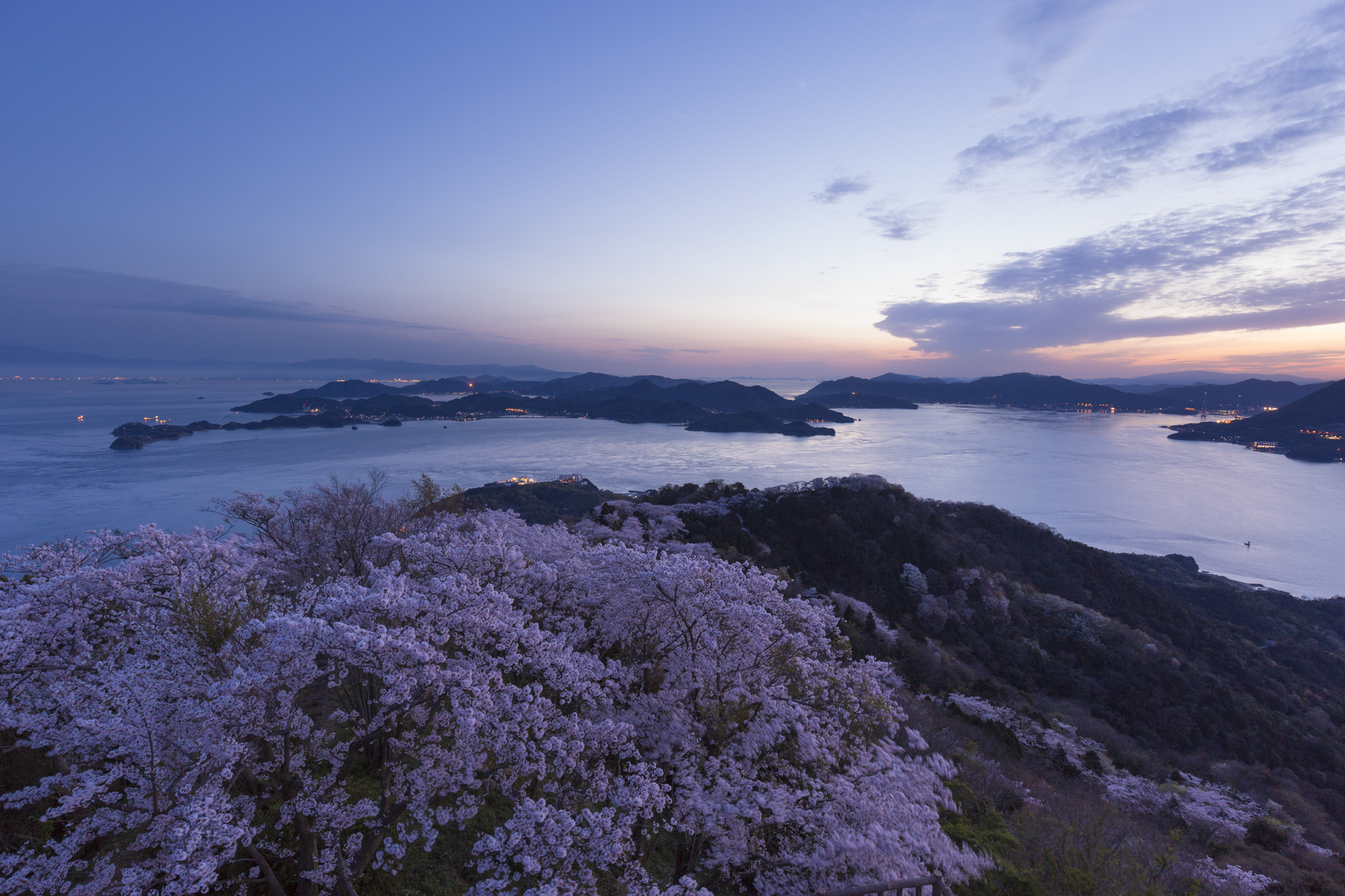 夕日が沈み30分ほど経った頃に撮影。淡い光が桜を包み込んで妖艶な雰囲気を高めてくれた<br>撮影：館野二朗（2020年4月5日撮影）<br><span class="fnt-85">EOS 5D Mark IV／EF16-35mm F4L IS USM／17mm／マニュアル露出（3.2秒・F8）／ISO 320／WB: 4800K</span>