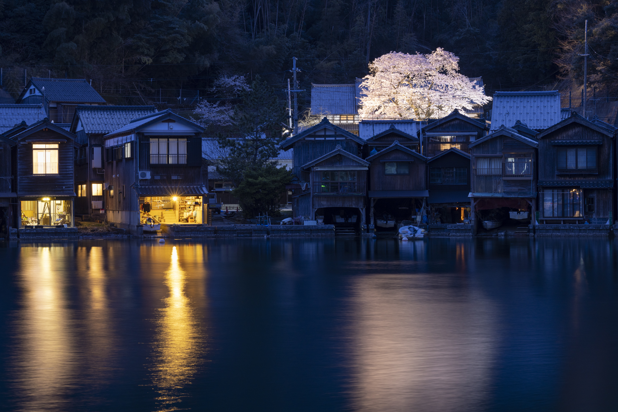 海蔵寺のご厚意で行われているライトアップは、この撮影スポット一番のシャターチャンスになる。桜と周りの露出差の少ない時間を逃さないよう撮影して欲しい<br>撮影：館野二朗（2020年4月８日撮影）<br><span class="fnt-85">EOS R5／RF70-200mm F4 L IS USM／82mm／マニュアル露出（５秒・F8）／ISO 400／WB: 4900K</span>
