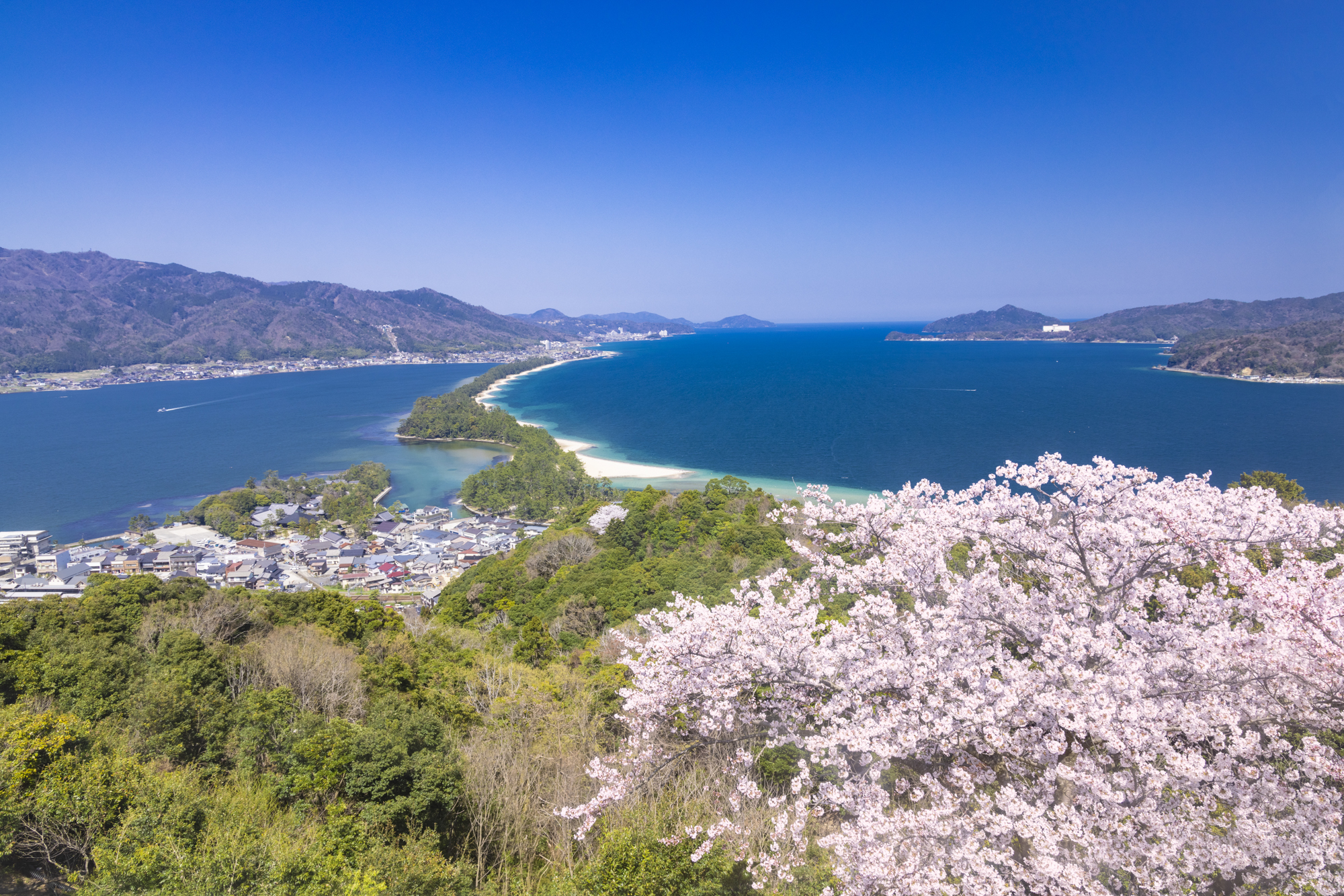 園内にある観覧車に乗って撮影している。もう一つの方法としてサイクルカーもある。どちらも周囲より少し高い俯瞰気味のアングルになるのでおすすめだ<br>撮影：館野二朗（2020年4月8日撮影）<br><span class="fnt-85">EOS R5／RF24-105mm F4 L IS USM／24mm／マニュアル露出（1/60秒・F11）／ISO 200／WB: 4900K</span>