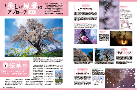 桜ページ 手染め麻タペストリー「吉野桜」 [京都洛柿庵オンラインショップ]