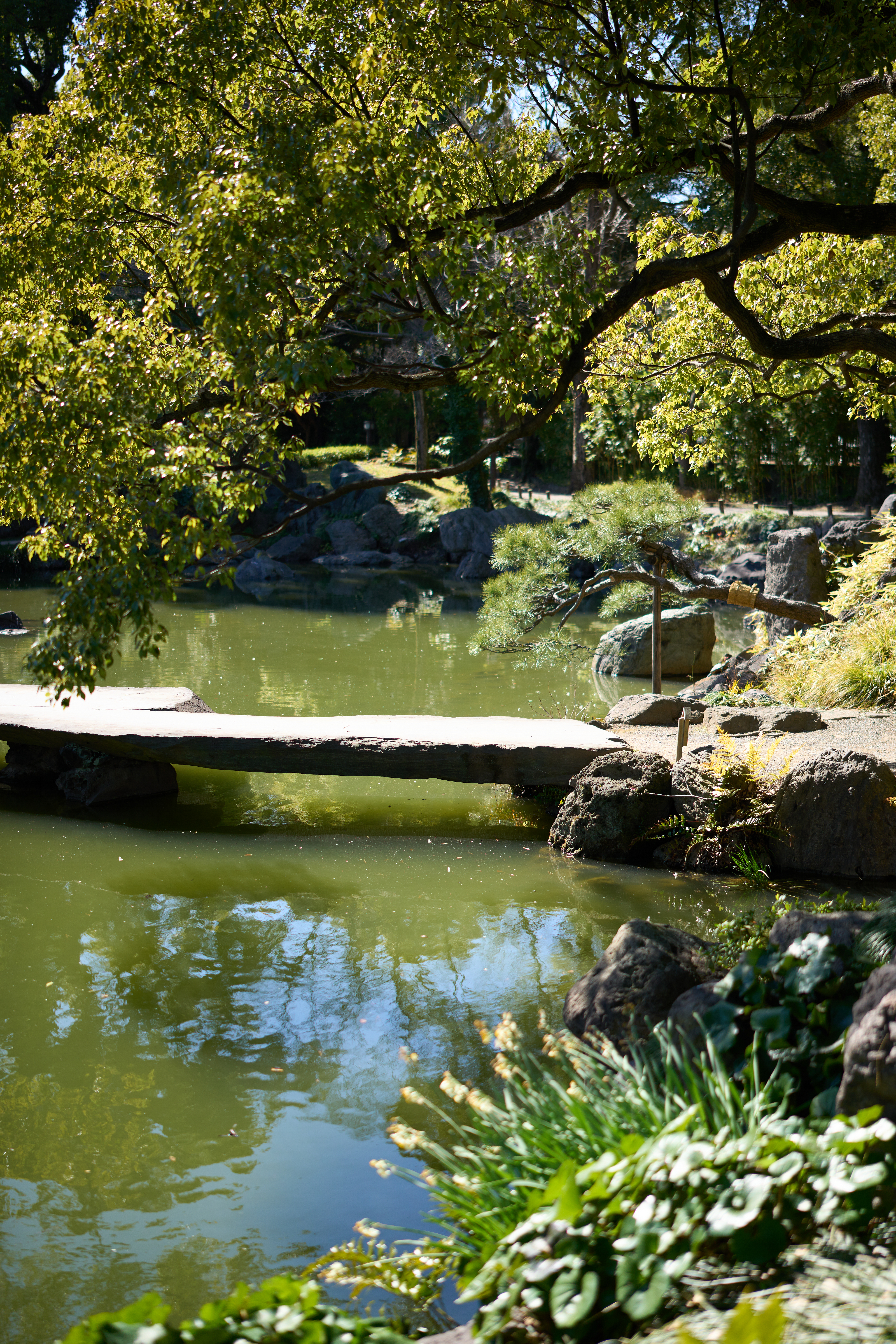 α1／50mm F1.4 DG DN｜Art／50mm／マニュアル（F1.4、1/5,000秒）／ISO 100／WB：太陽光