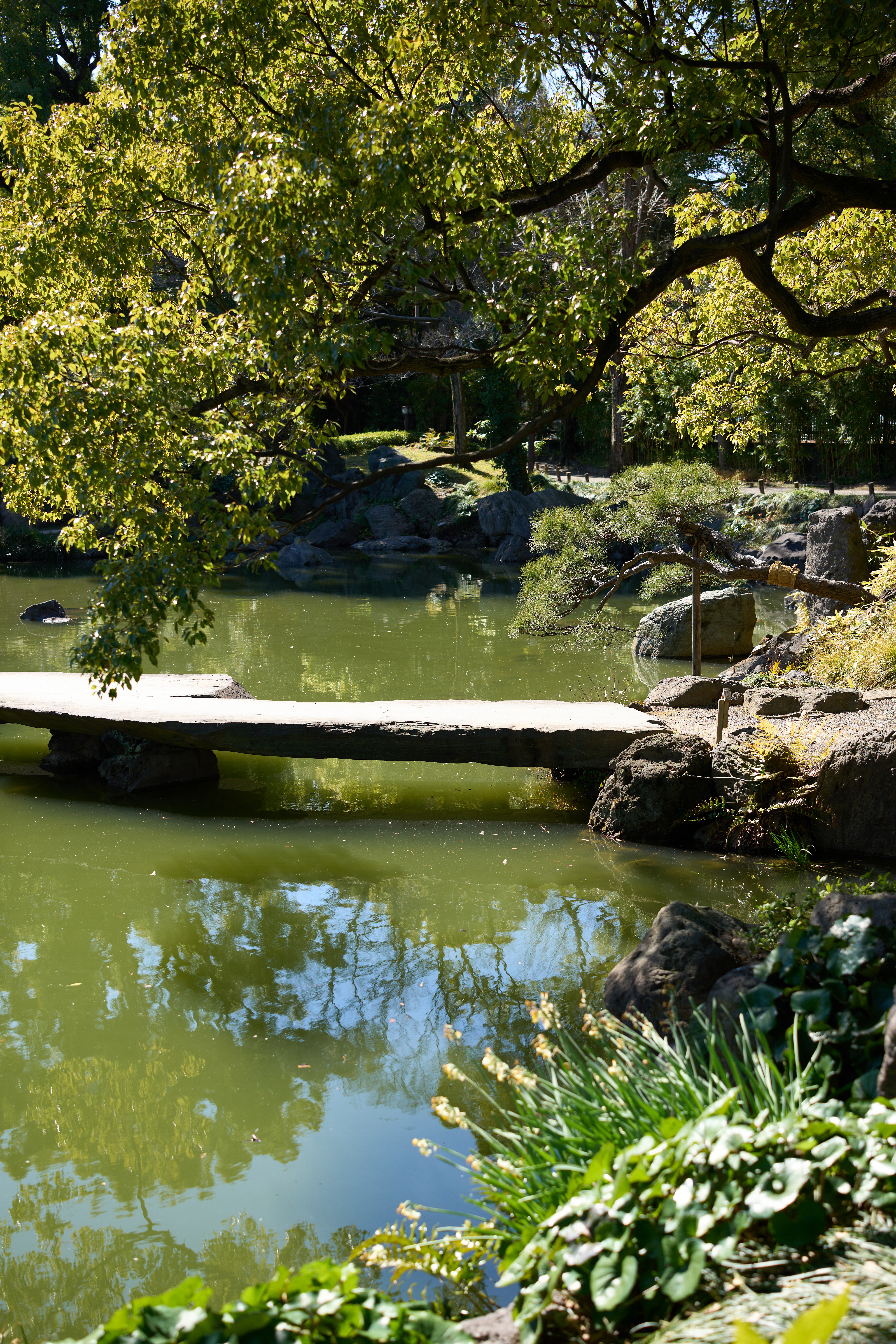 α1／50mm F1.4 DG DN｜Art／50mm／マニュアル（F2.8、1/800秒）／ISO 100／WB：太陽光